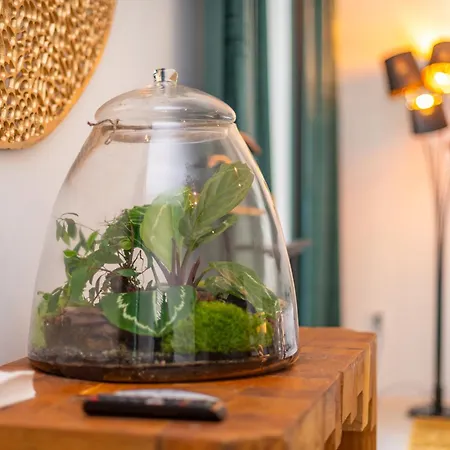 Korek Apartment Mikulov